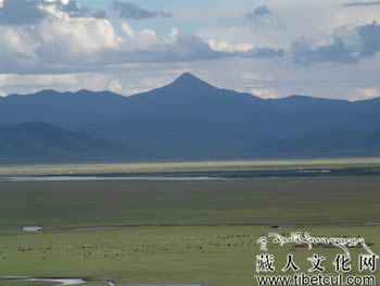 甘南玛曲贡赛尔喀木道湿地