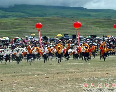 四川甘孜第二届走马节特写（图）